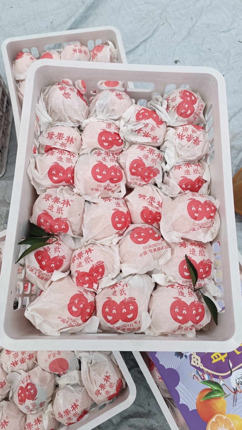 四川耙耙柑大量上市。口感好，颜色好，大，基地货源充足，