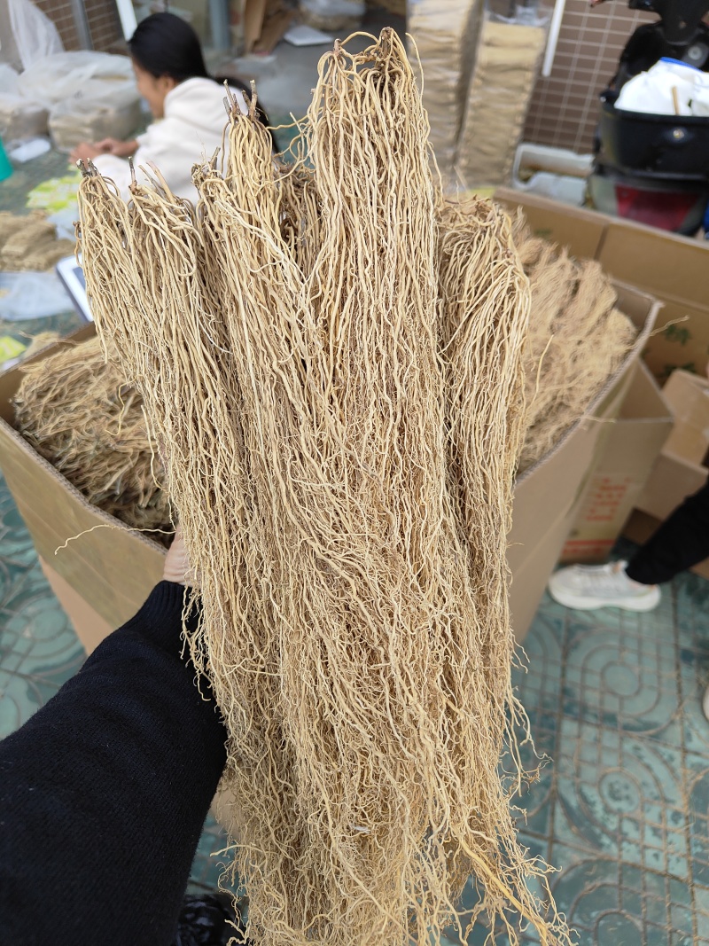 百条根徐长卿老君须产地直销一手货源足干货一年四季现挖现卖