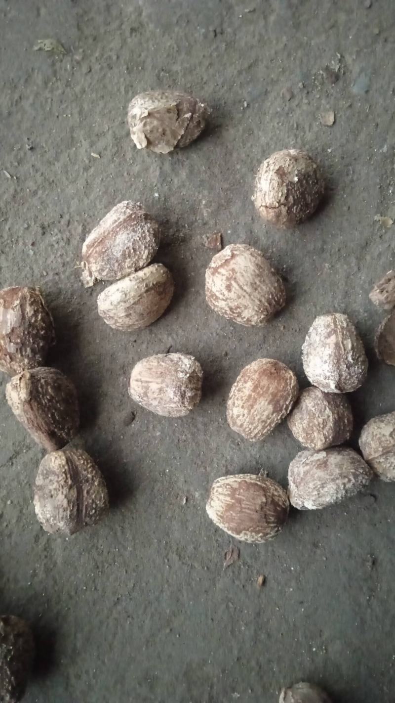 桐油自产自销产地货源可视频看货量大可谈价欢迎联系