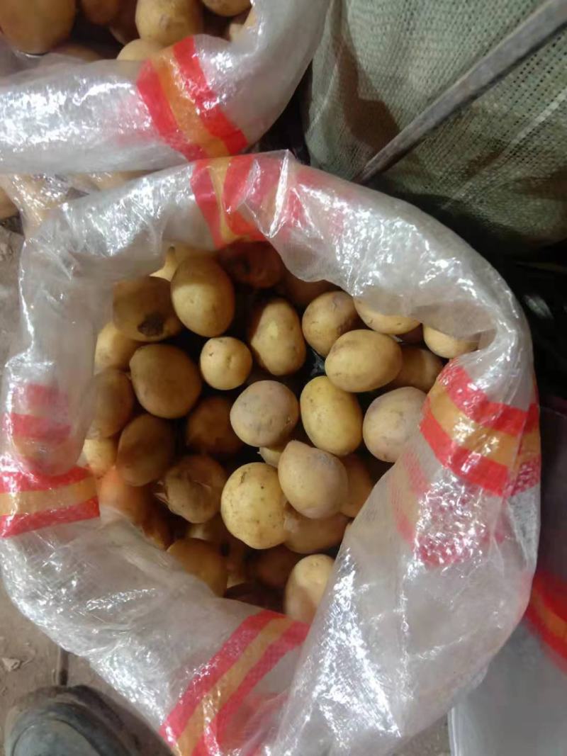 酱豆:5钱~1两小土豆，质优价廉，产地直发，全国供货。