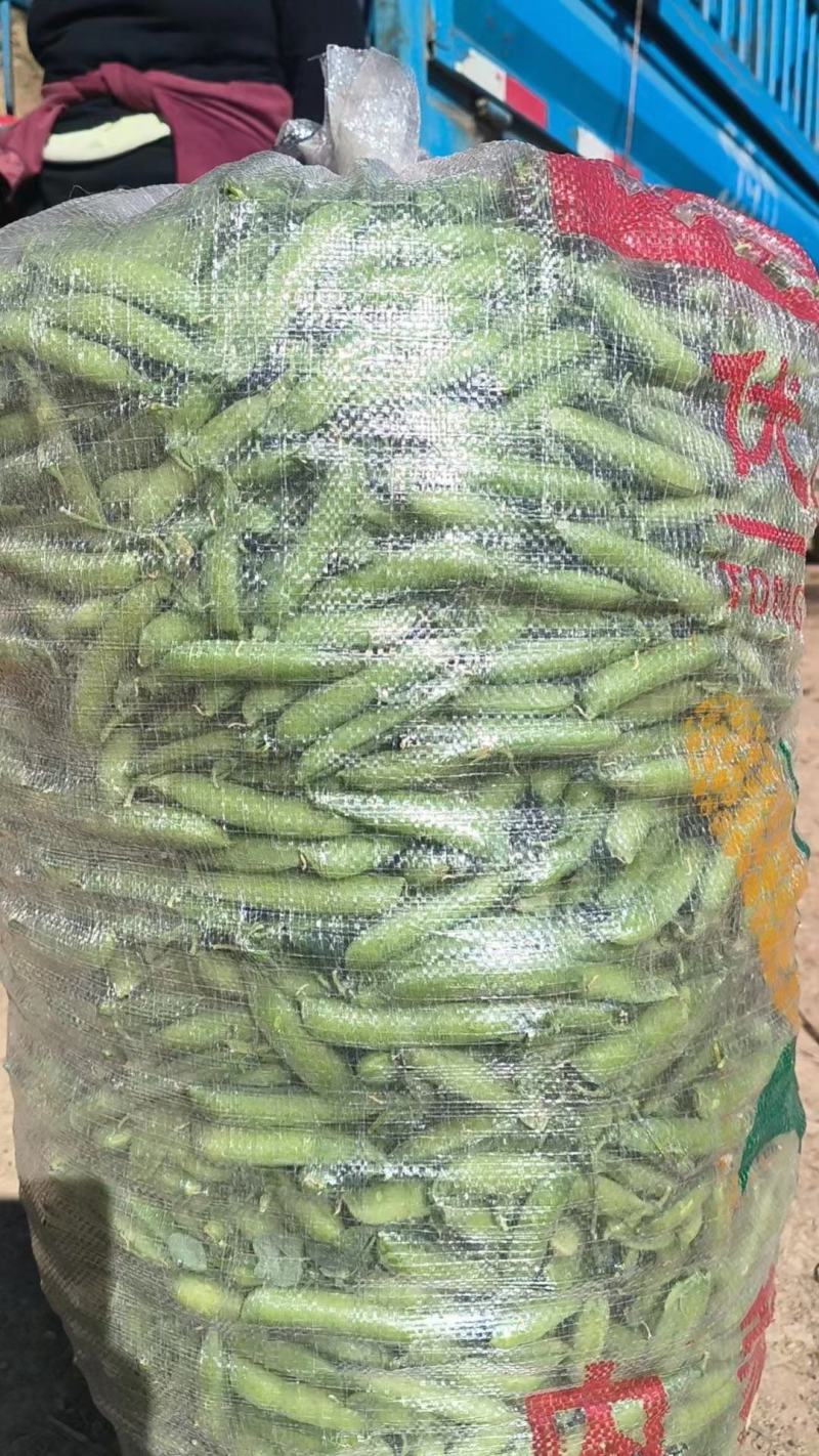 豌豆，中弯二号，云南高山豌豆，长寿仁，青豌豆