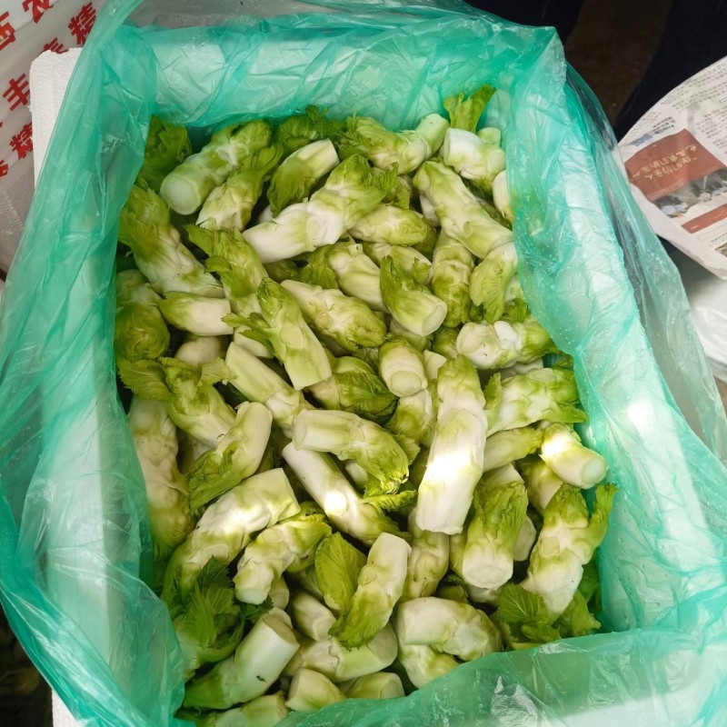 儿菜，基地直销，大小匀称，质量保证，按需分拣。