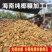 海南纯椰糠营养土，厂家直发，一手货源，量大从优，欢迎采购