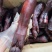 烟熏小腊猪脚（腊肉香肠批发一手货源量大从优）
