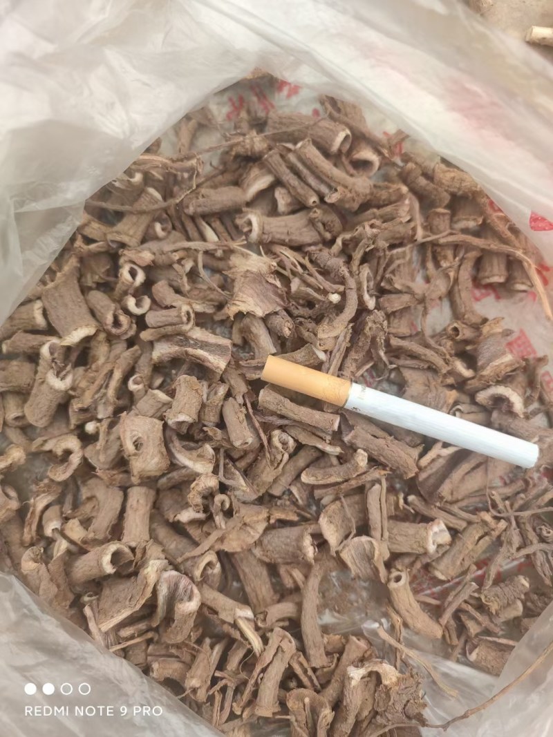 绿葡萄，又名蛇葡萄根皮