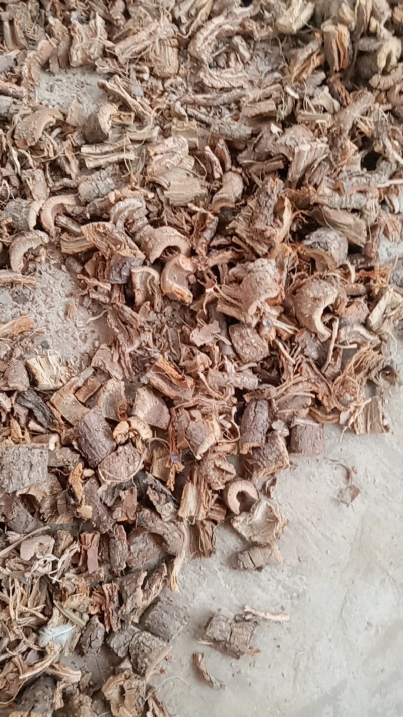 绿葡萄，又名蛇葡萄根皮