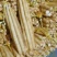小白嘴山药大量上市量大从优欢迎咨询