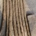 小白嘴山药大量上市量大从优欢迎咨询