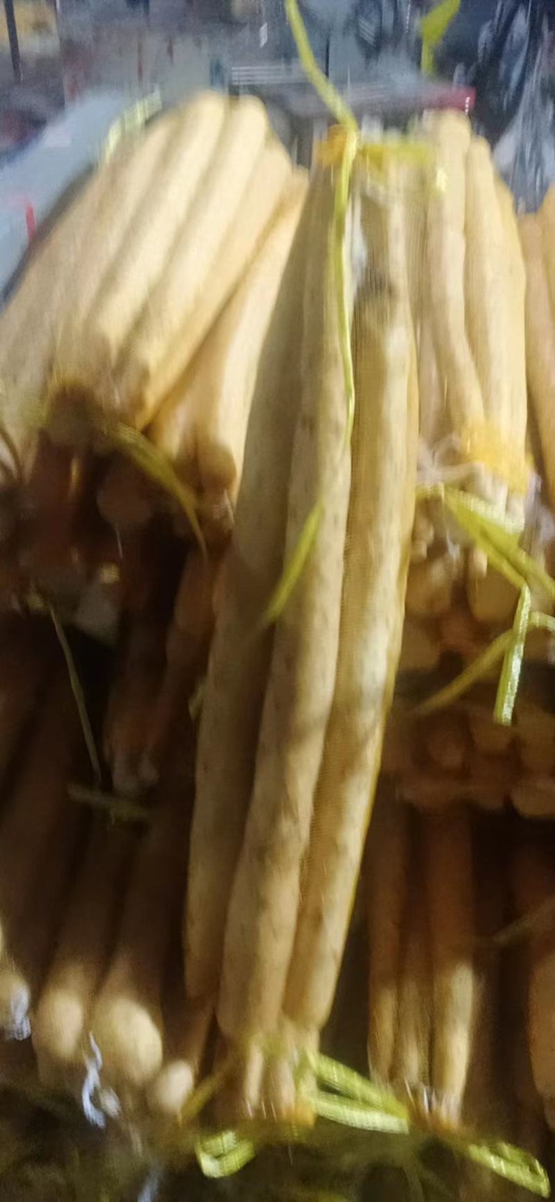 小白嘴山药大量上市量大从优欢迎咨询