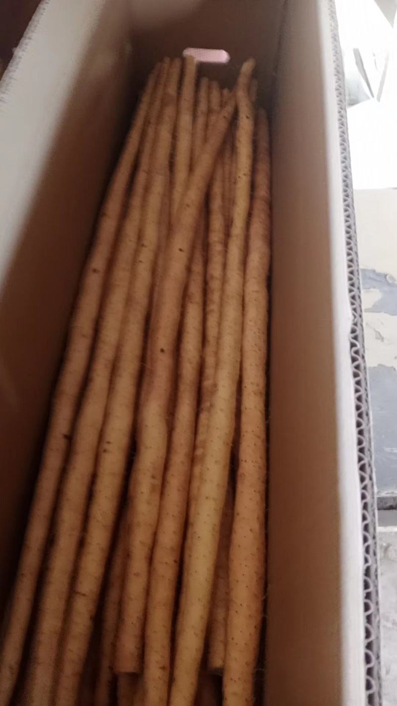 小白嘴山药大量上市量大从优欢迎咨询