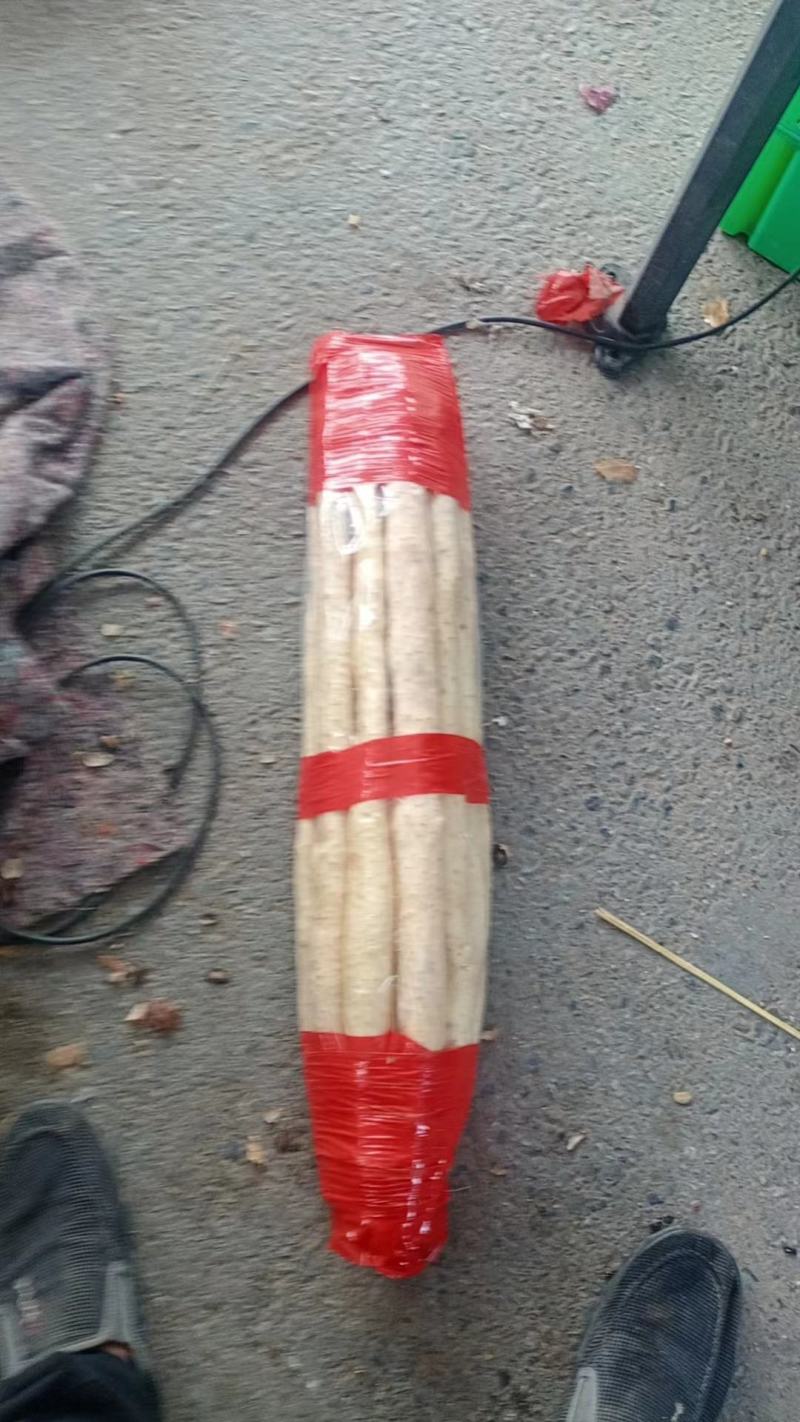 小白嘴山药大量上市量大从优欢迎咨询