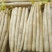 小白嘴山药大量上市量大从优欢迎咨询