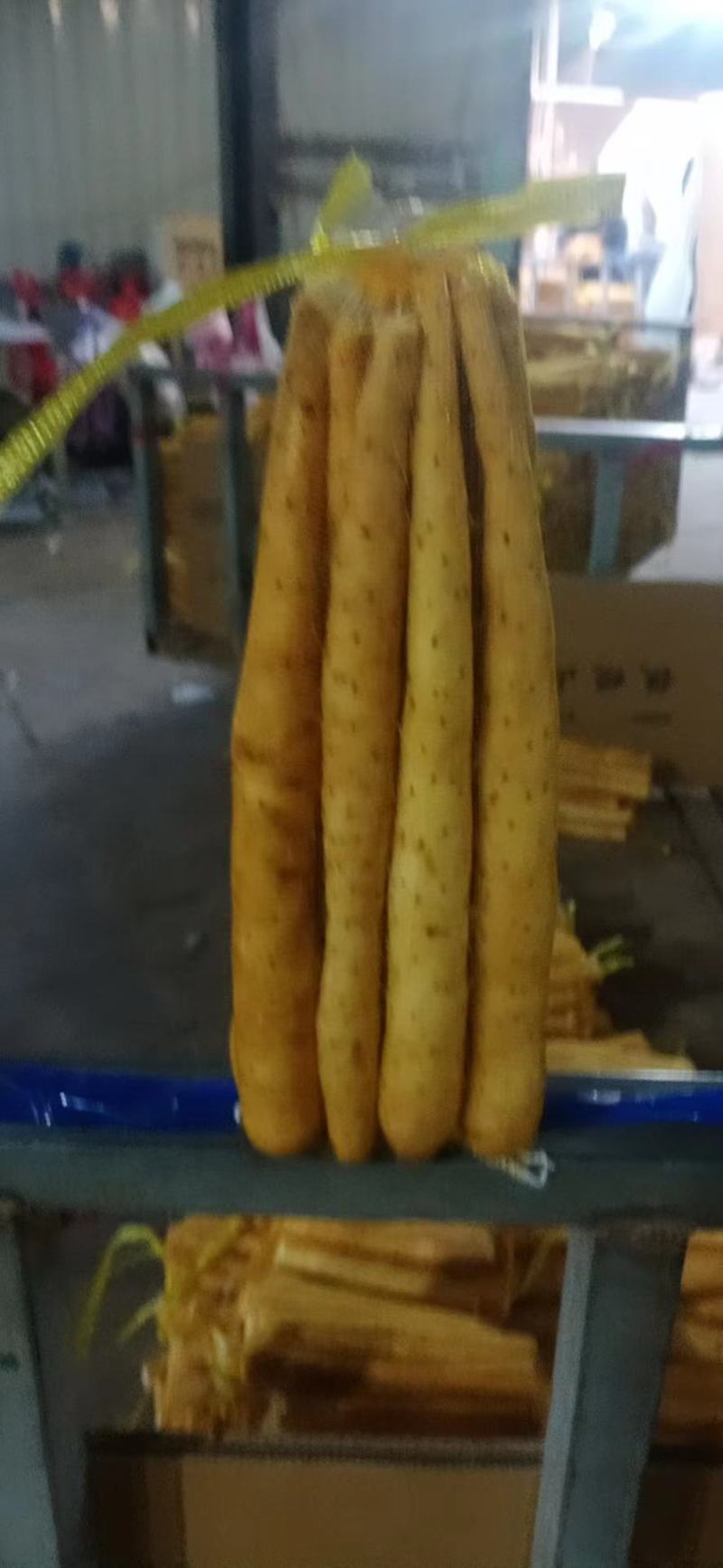 双棒大货山药双棒二三精包装品种齐全欢迎来电咨询
