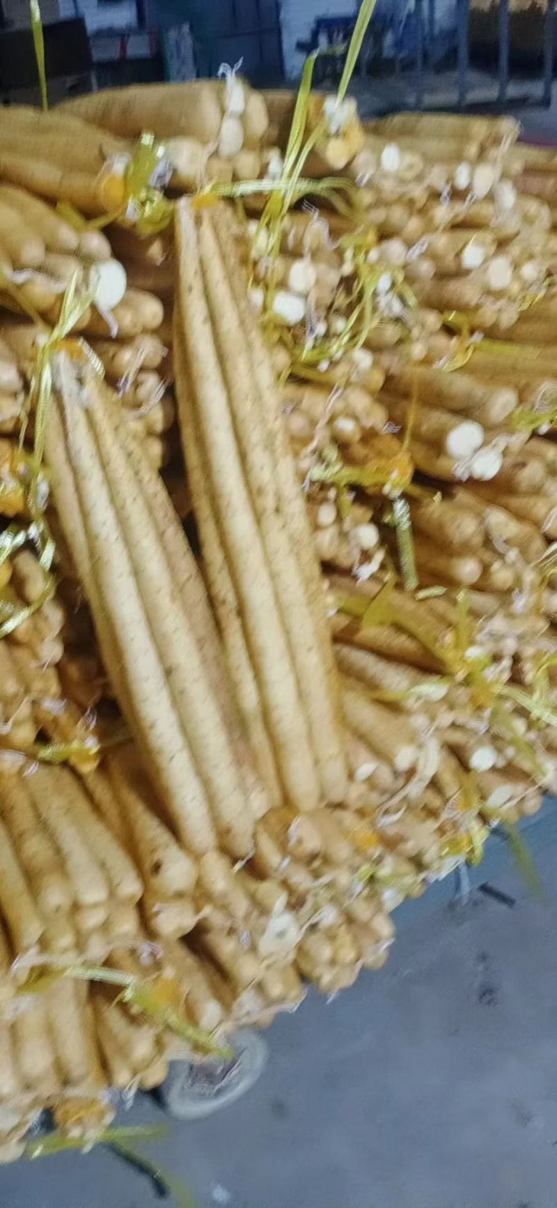 双棒大货山药双棒二三精包装品种齐全欢迎来电咨询