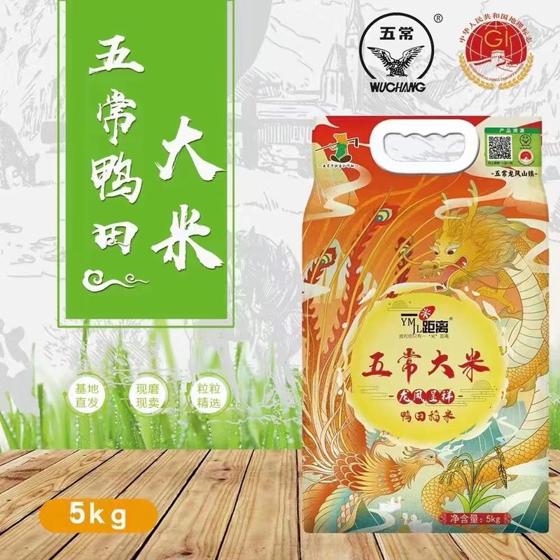 五常大米稻花香2号口感香醇龙凤山基地直供货源充足品质