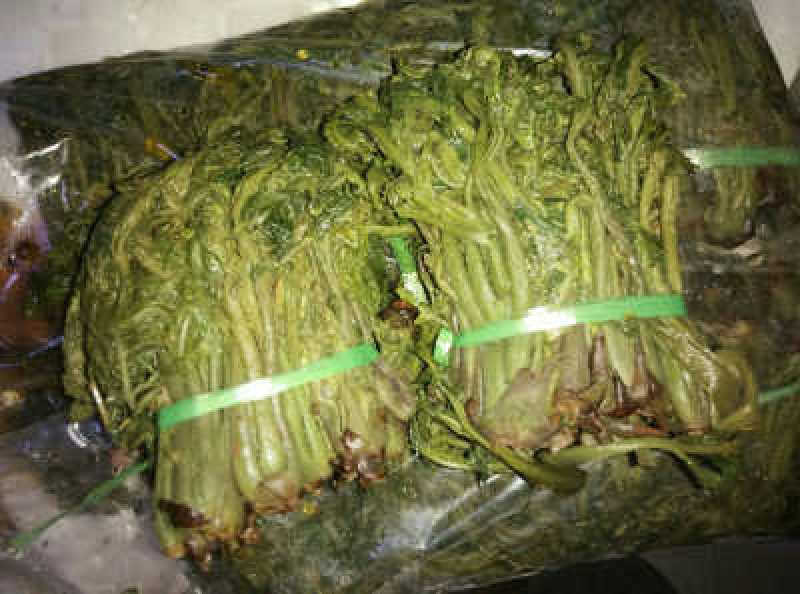 香椿芽咸菜2024年，冷库200吨，根据要求提供服务，
