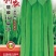 四季豆种子利农翡翠168新四扁早中熟荚又宽又长结荚密