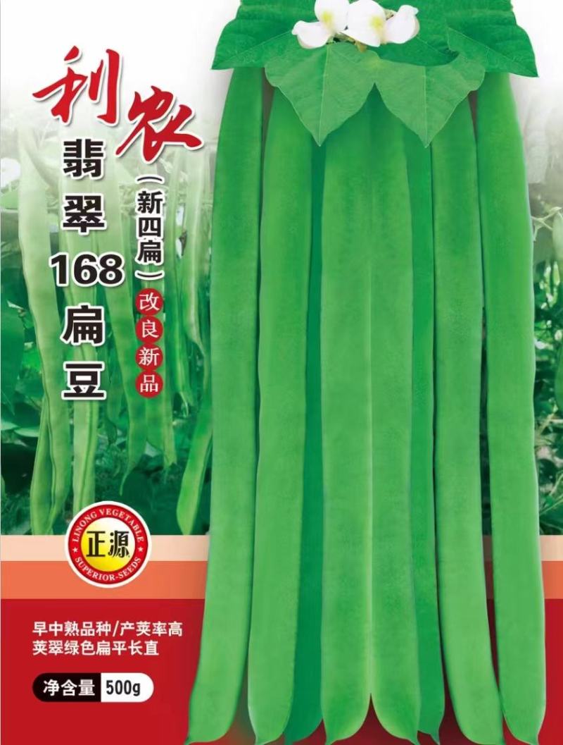 四季豆种子利农翡翠168新四扁早中熟荚又宽又长结荚密