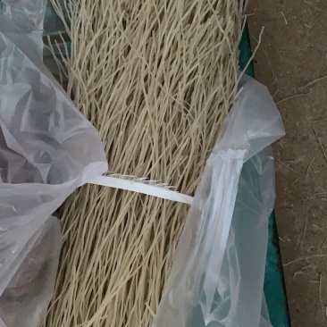 农家纯手工红薯粉条