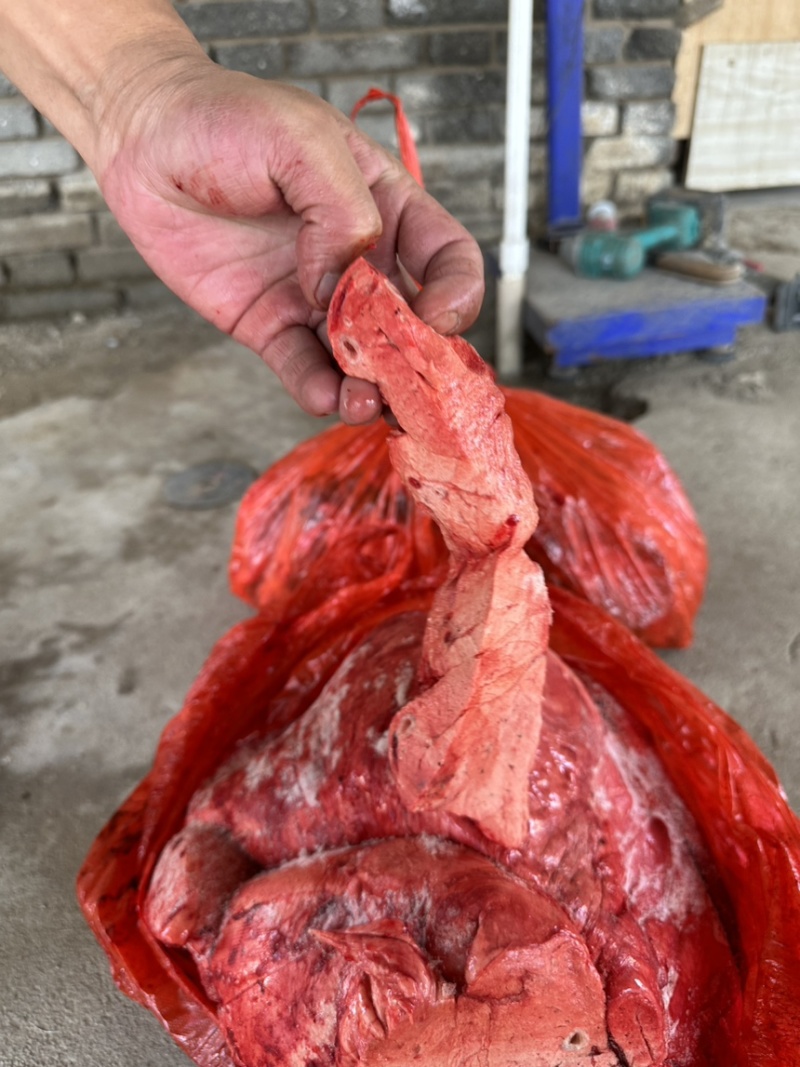 精品驴肉副新鲜驴腰子质量好，需要的新老客户下单了