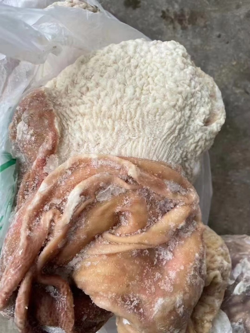 驴肉副鲜冻驴肚子精修去油肚子颜色鲜支持全国发货