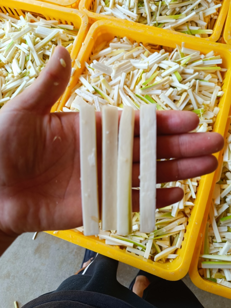 麻竹笋条，统货，常年有货，产地直销，价格便宜