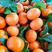 广西砂糖橘各种规格纯甜无渣可以视频对接对接全国