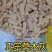 灰豆腐果