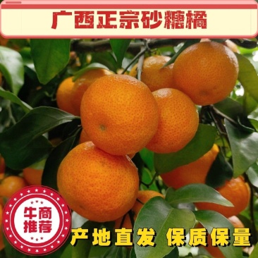 （热卖中）沙糖桔广西砂糖橘量大纯甜化渣全国直发