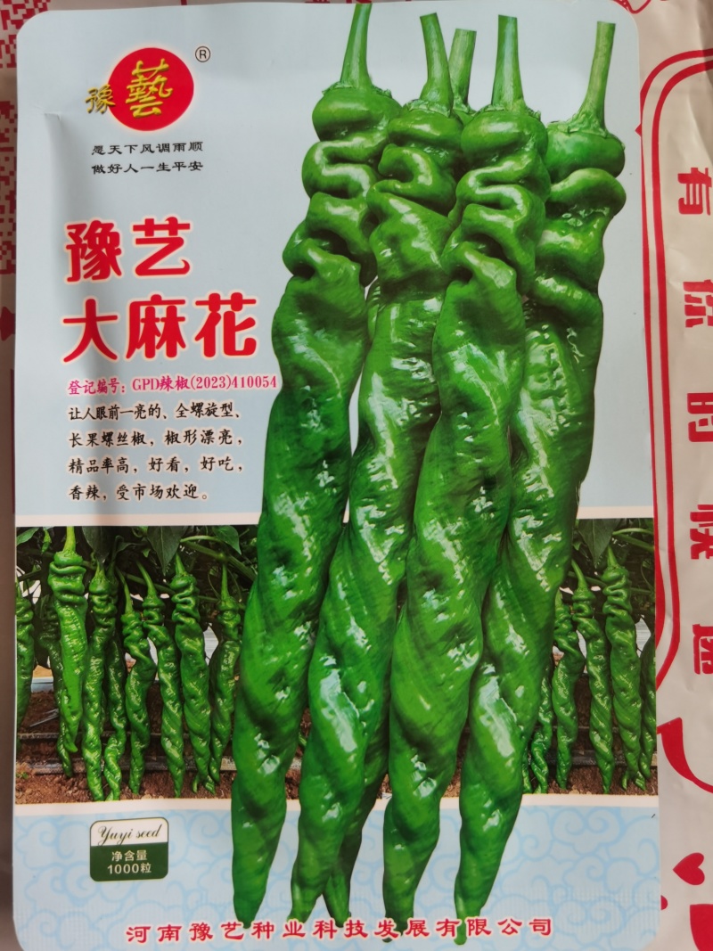 豫艺螺丝椒种子全螺旋型大长果高产辣椒种粒皮薄春秋冬抗病