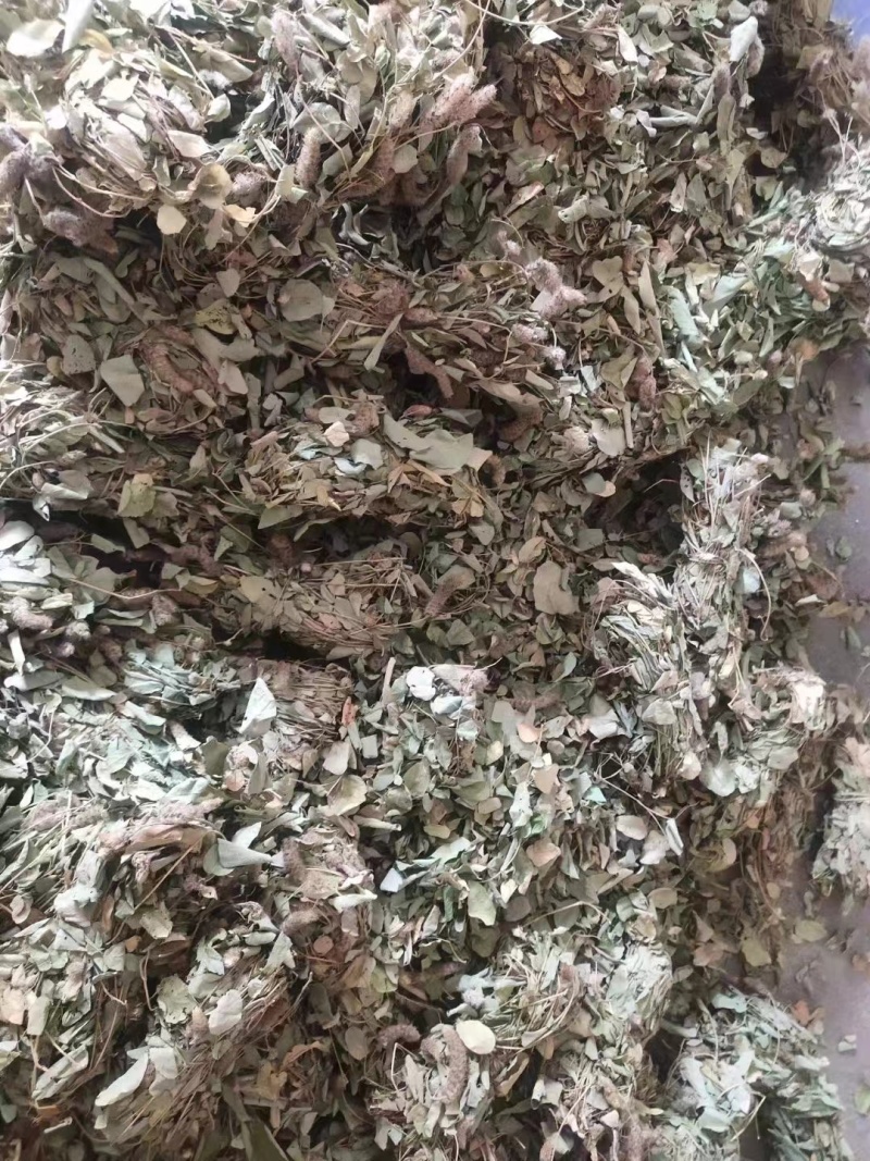 广西狸尾草干货羊咩香当季新货狐尾草无硫的狸尾草干货量大从