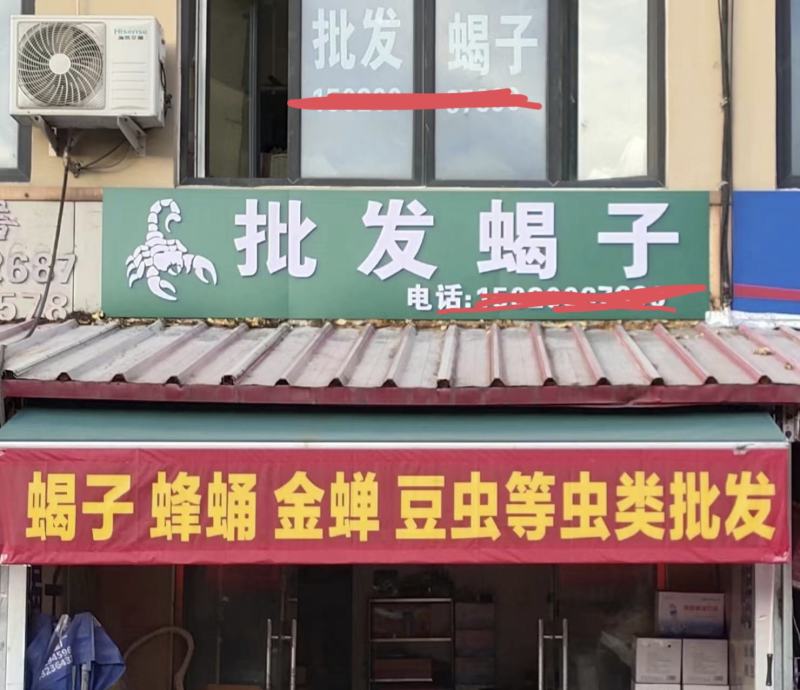 蚕蛹干湿蛹，济南蚕蛹干湿蛹常年有货，全国发货