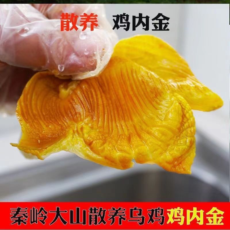 鸡内金片农家散养生鸡食皮子小孩