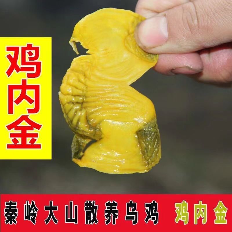 鸡内金片农家散养生鸡食皮子小孩