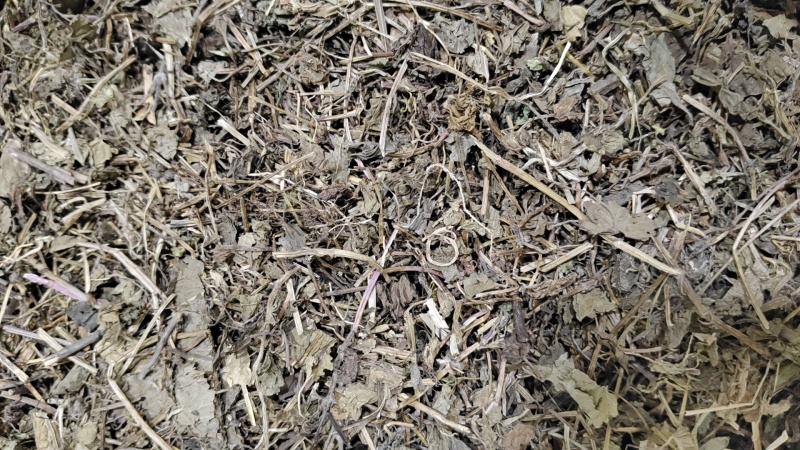 透骨消