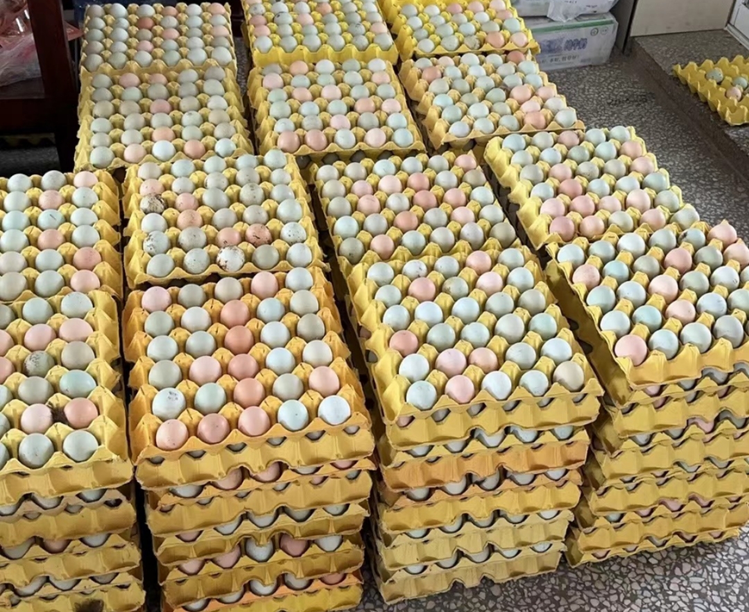 鸡蛋选购指南图解