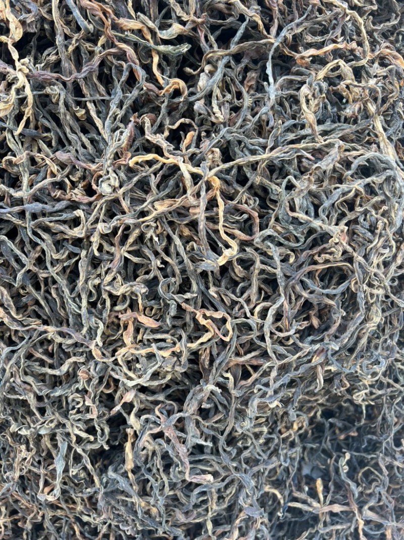 精品干豆角