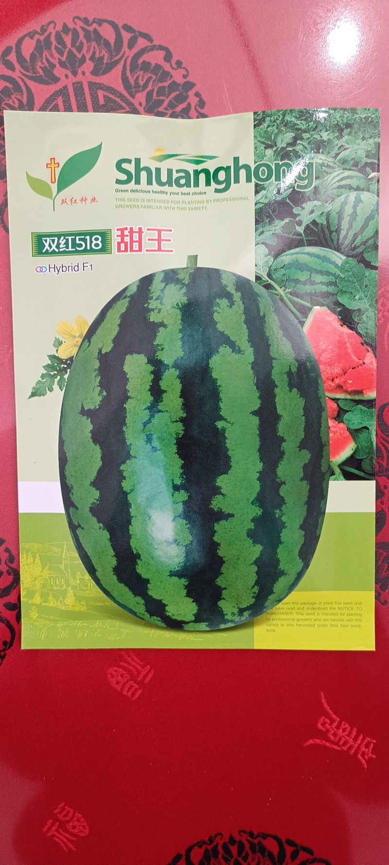 精品早熟甜王品种双红518甜王西瓜种子农业部登记品种