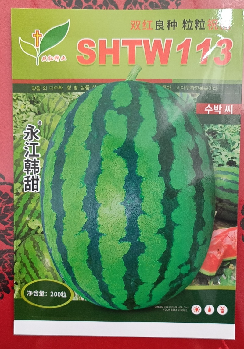 永江韩甜甜王种子200粒装