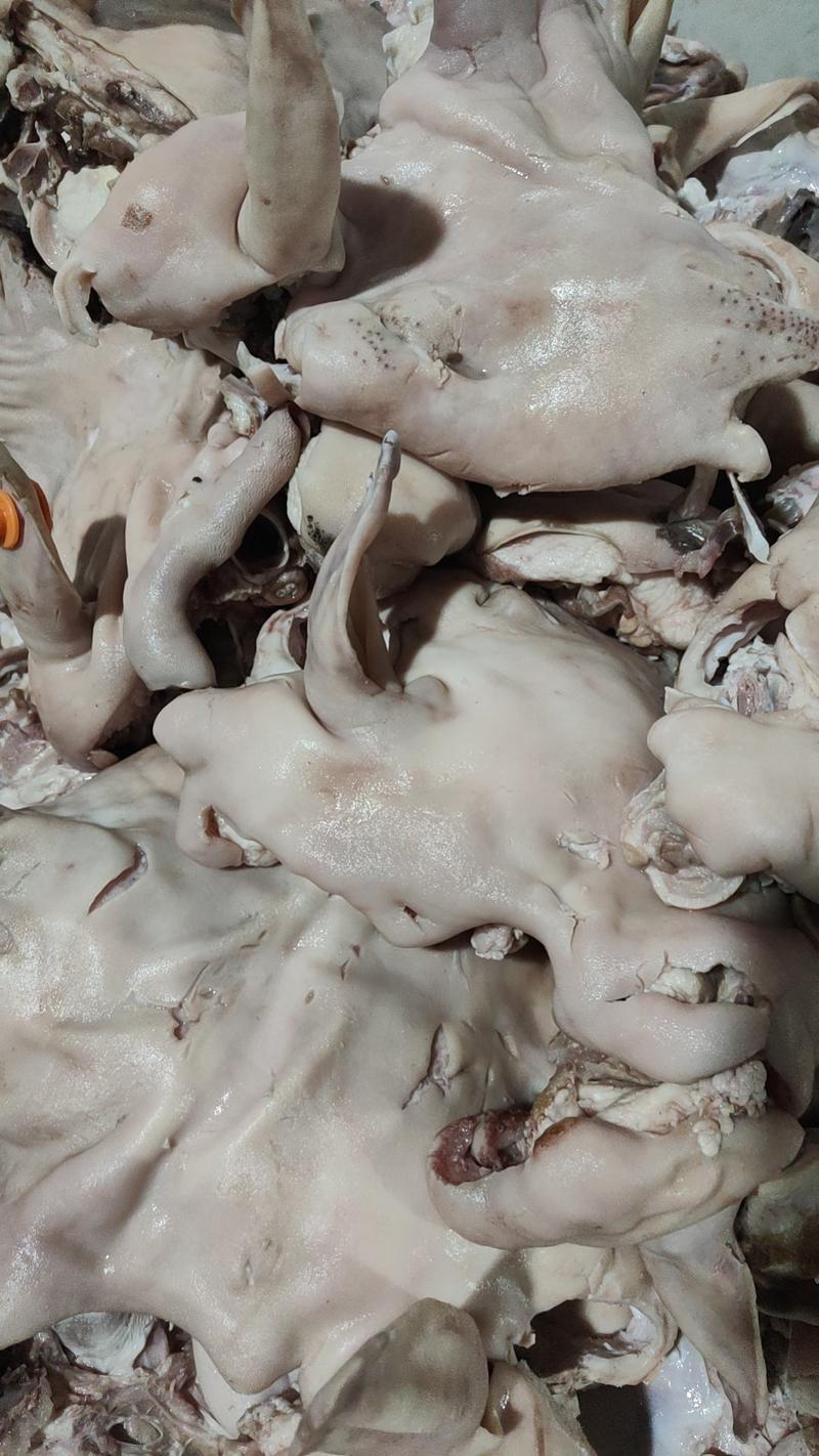 河南郑州中牟县羊头肉产地直销质量保障量大从优欢迎订购
