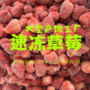 速冻草莓甜查理红颜草莓箱装10kg袋装茶饮工厂原料