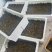 【种蛭】苏南25年特大水蛭产茧率99%产地直供电联优惠