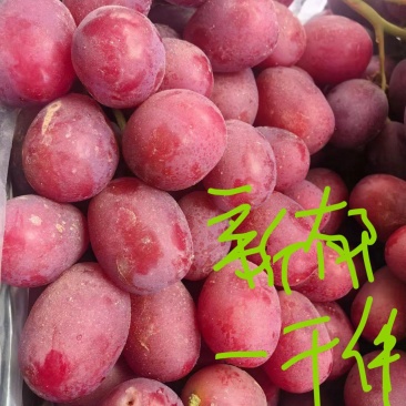 库存新郁