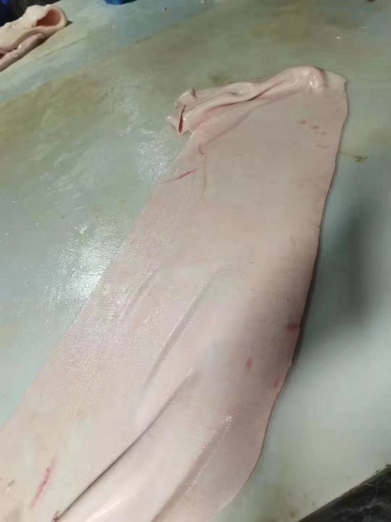 肥猪脊皮