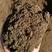 营养土，蚯蚓土，蚯蚓肥，花肥，改良土，有机土，种植土