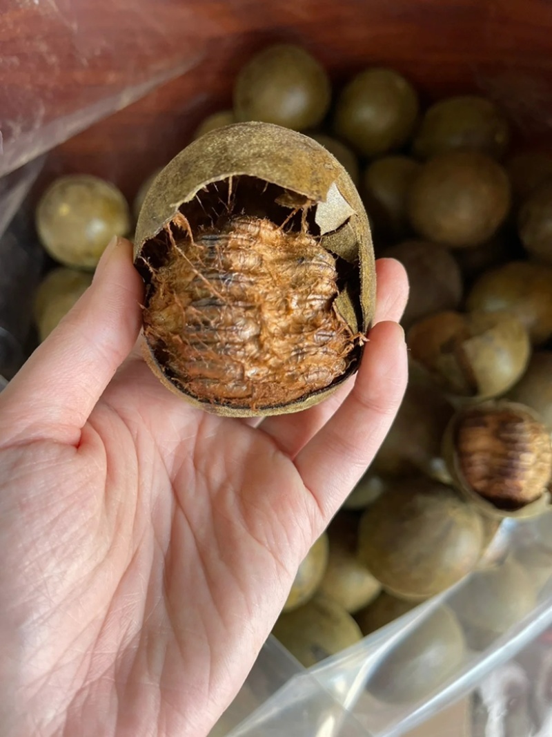正宗罗汉果干果花茶广西桂林特产整箱批发果可搭配茶胖大海坚
