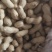 《包邮》东北小日本熟花生珍珠花生现炒现发量大从优一条龙