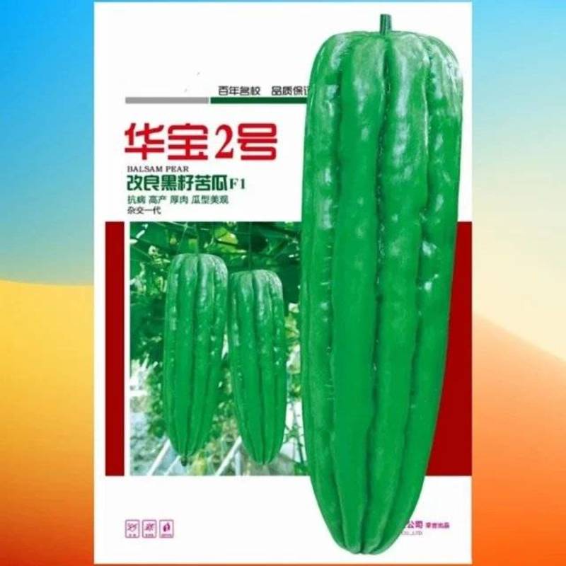 华宝2号大肉苦瓜种子油绿色单瓜重约400-500克
