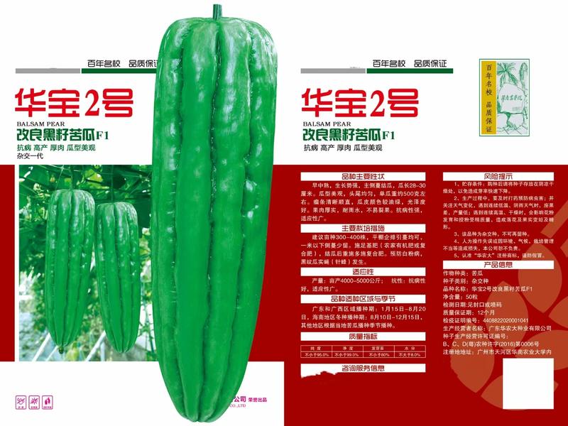 华宝2号大肉苦瓜种子油绿色单瓜重约400-500克