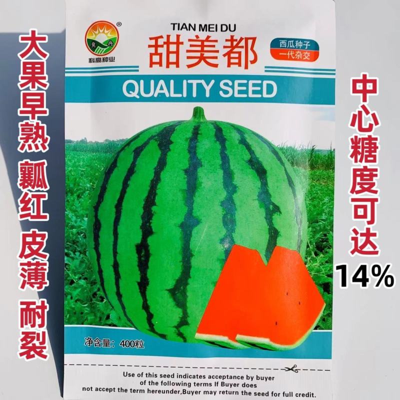 甜美都西瓜种子早熟糖度高含糖14度以上瓤红皮薄基地专用